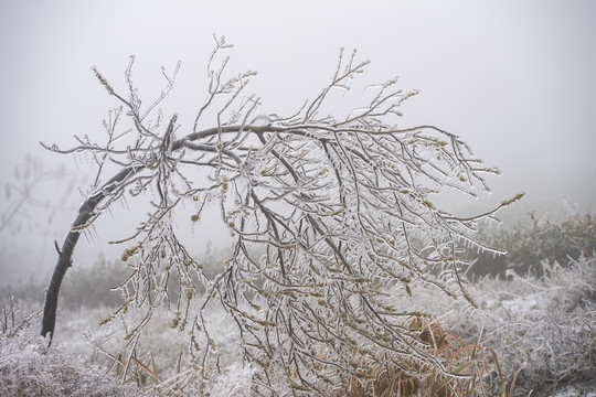 冰雪美图