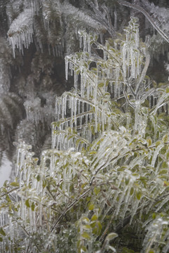 冰雪美图