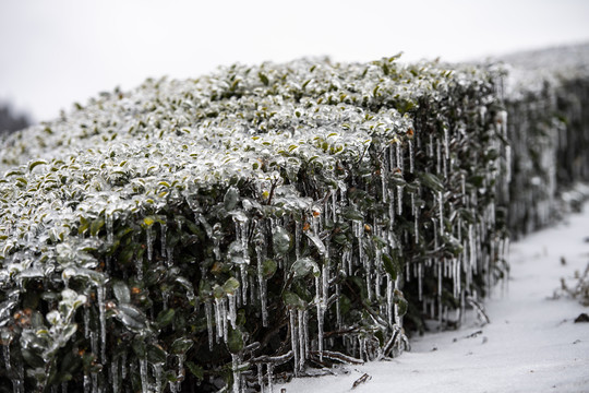 冰雪美图