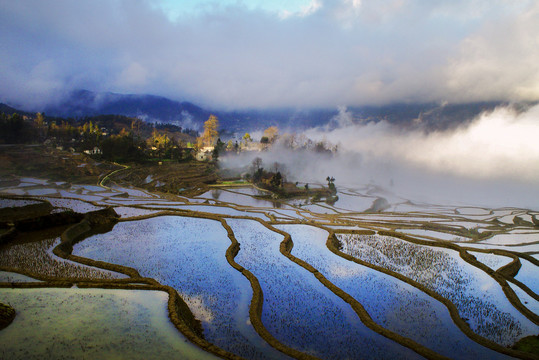 元阳梯田爱村