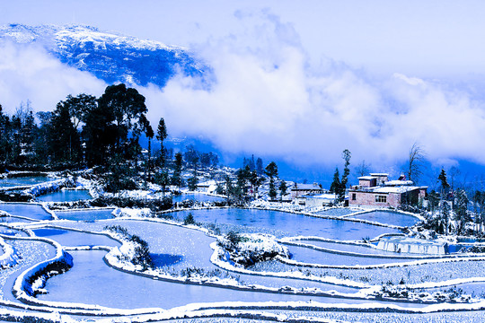 元阳梯田雪景