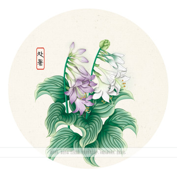 24節(jié)氣處暑插畫