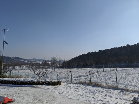 青岛雪景