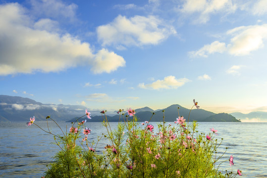 泸沽湖风光