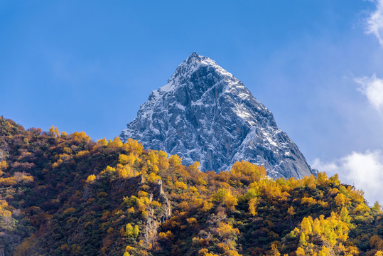 中国西藏山南市雅鲁藏布江峡谷