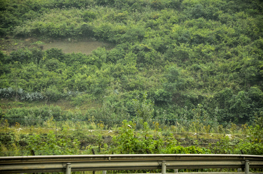 大自然风光风景