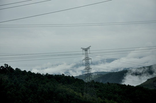 高山云雾