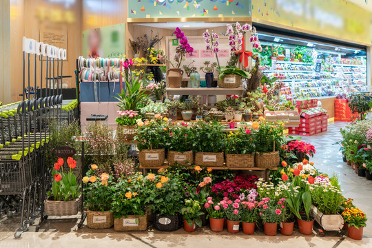 花店橱窗