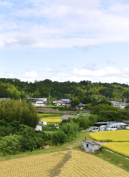 乡村自然风光