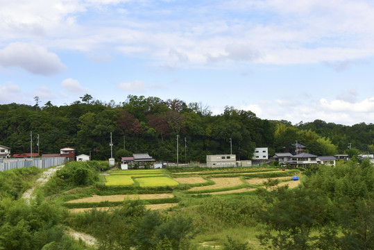 乡村自然风光