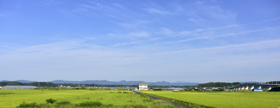 田野风光