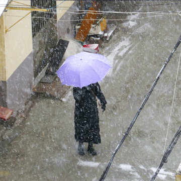 风雪行人