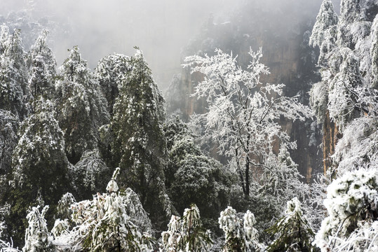 张家界天子山雪景