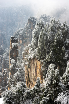 张家界天子山雪景