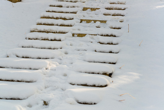 公园里冬天落满积雪的大理石台阶