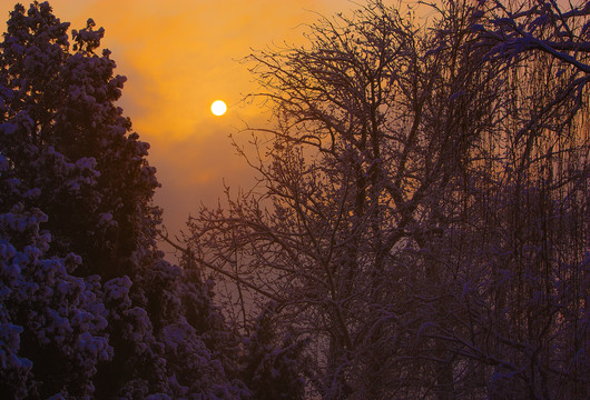 冬日落日夕阳雪景