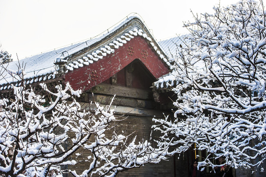 北京颐和园宜芸馆雪景