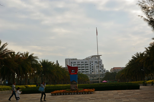 厦门大学风景