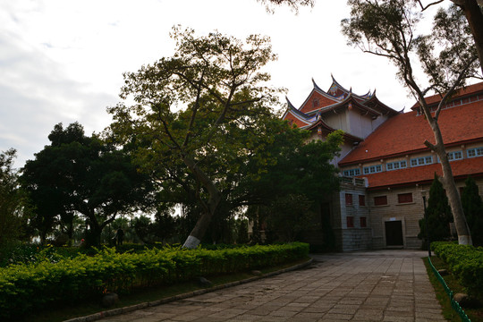 校园绿化风景