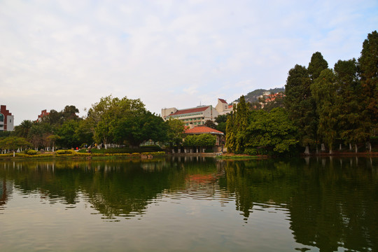 厦门大学湖畔风景
