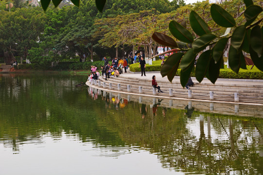 校园湖畔风光