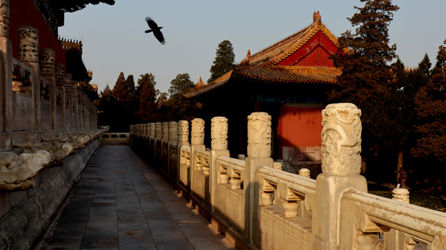 北京太庙建筑风光