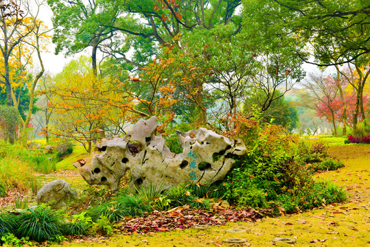 杭州植物园