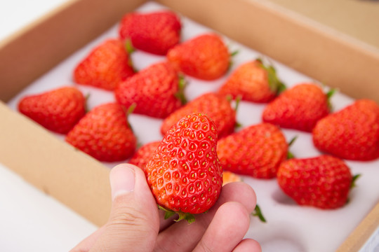 手拿草莓背景一盒草莓
