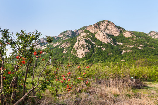 中国辽宁丹东凤凰山风光