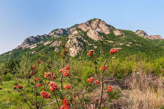 中国辽宁丹东凤凰山风光