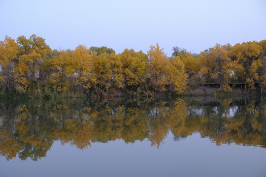 叶尔羌河