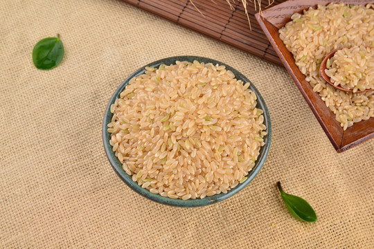 糙米糙米粒糙米素材