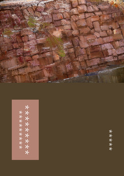 茶色油畫封面設(shè)計(jì)版面設(shè)計(jì)