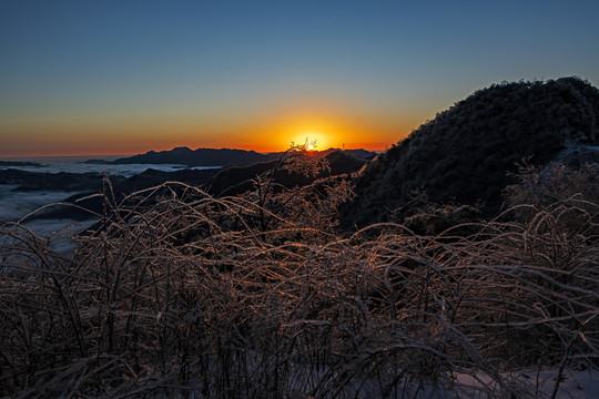 雪景