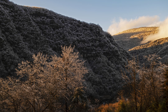 雪景