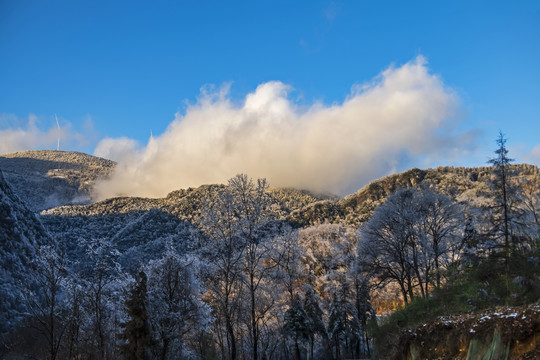 雪景