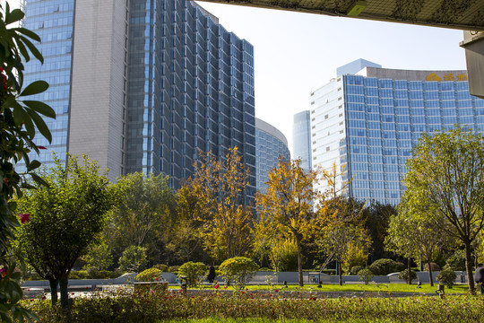 城市秋景