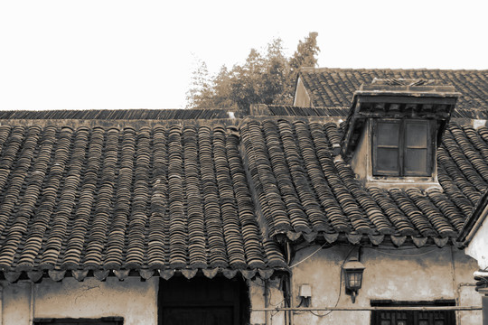 屋頂