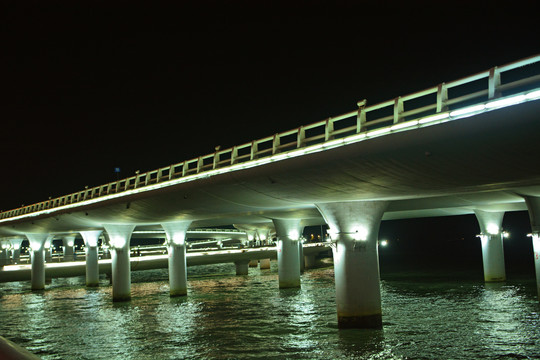 厦门演武大桥夜景