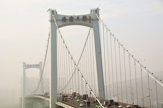 海沧大桥风景