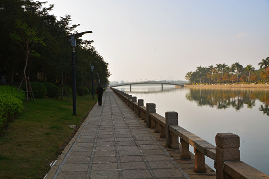 厦门白鹭洲公园风景