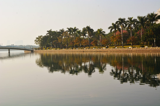 厦门白鹭洲公园风景