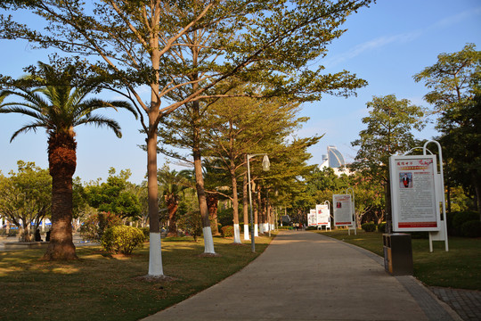 公园道路风景