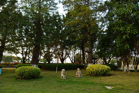 公园绿化草地风景