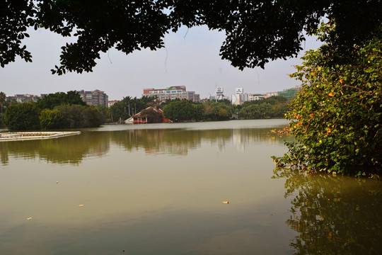 湖畔风景