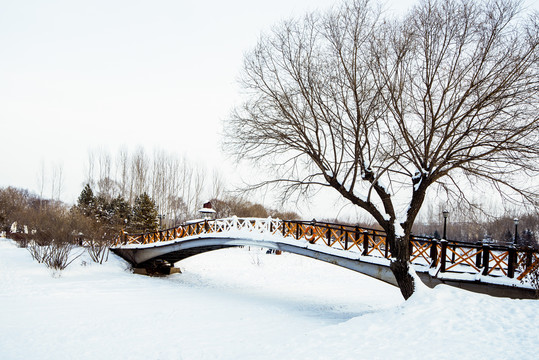 雪景