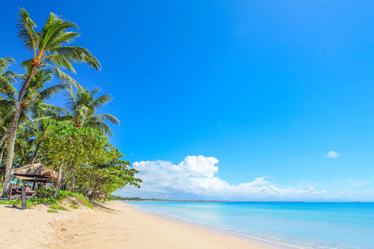 沙滩海浪椰树蓝天