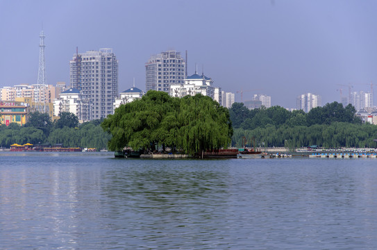 大明湖风光