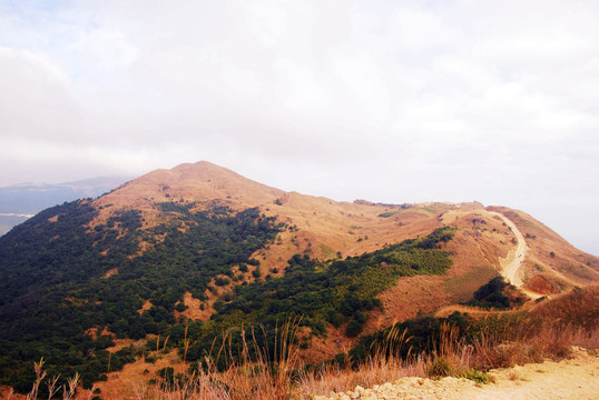 高山秋色