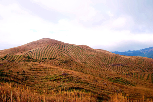 高山秋色